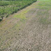 New Listing 20.6 - Acres Callahan County images 4