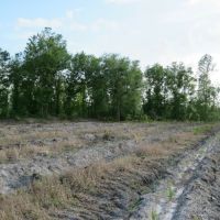 Smith Road Tract images 5