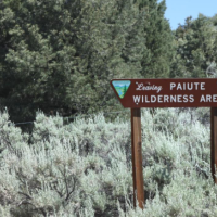 Paiute Wilderness WMA - 87,900 acre Deer hunting property in Mohave, AZ images 3