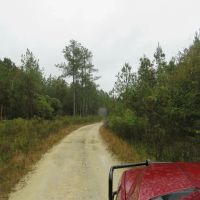 Boatright Well Road Timberland images 4