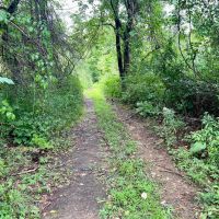 Ben Franklin Hwy. Cambria County - 61 acres images 3