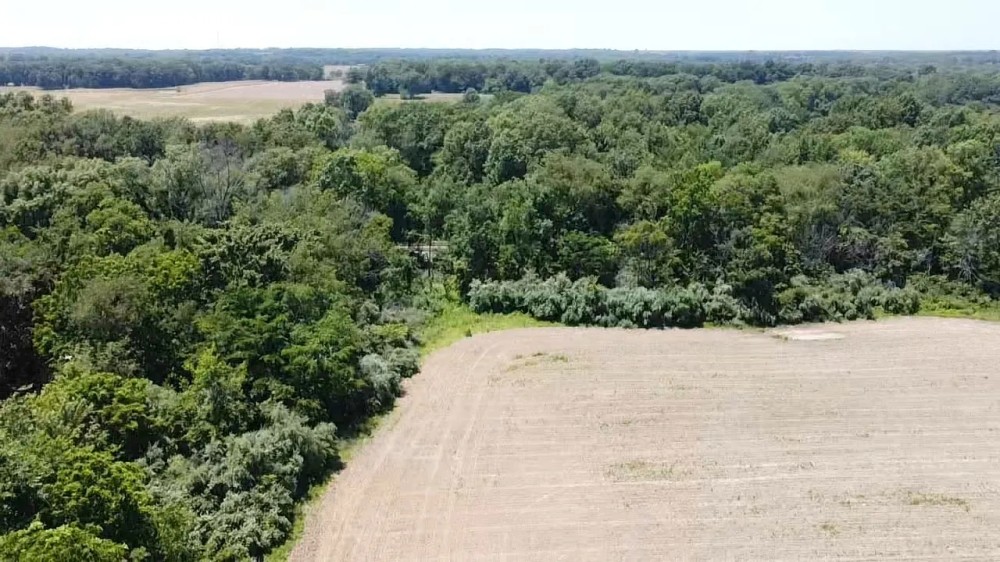 Excellent small tract for hunting featured image