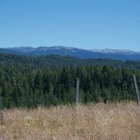 Branch Keyhole Ranch images 5