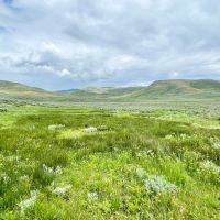 Two Forks Ranch images 3