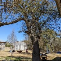 2254 E Hwy 29 images 4