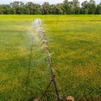 Hall Farm images 4