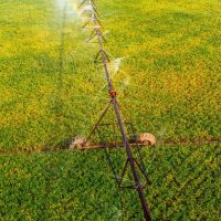 Hall Farm images 5