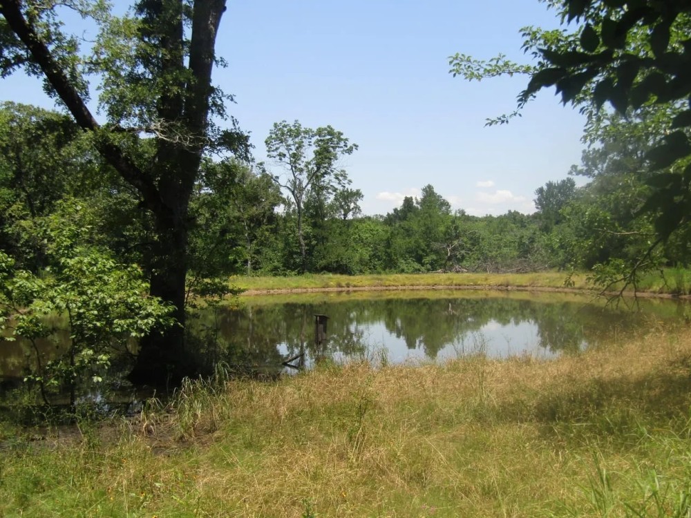 Golden Dove Road Recreational Hunting Escape McCurtain County OK 40 AC featured image