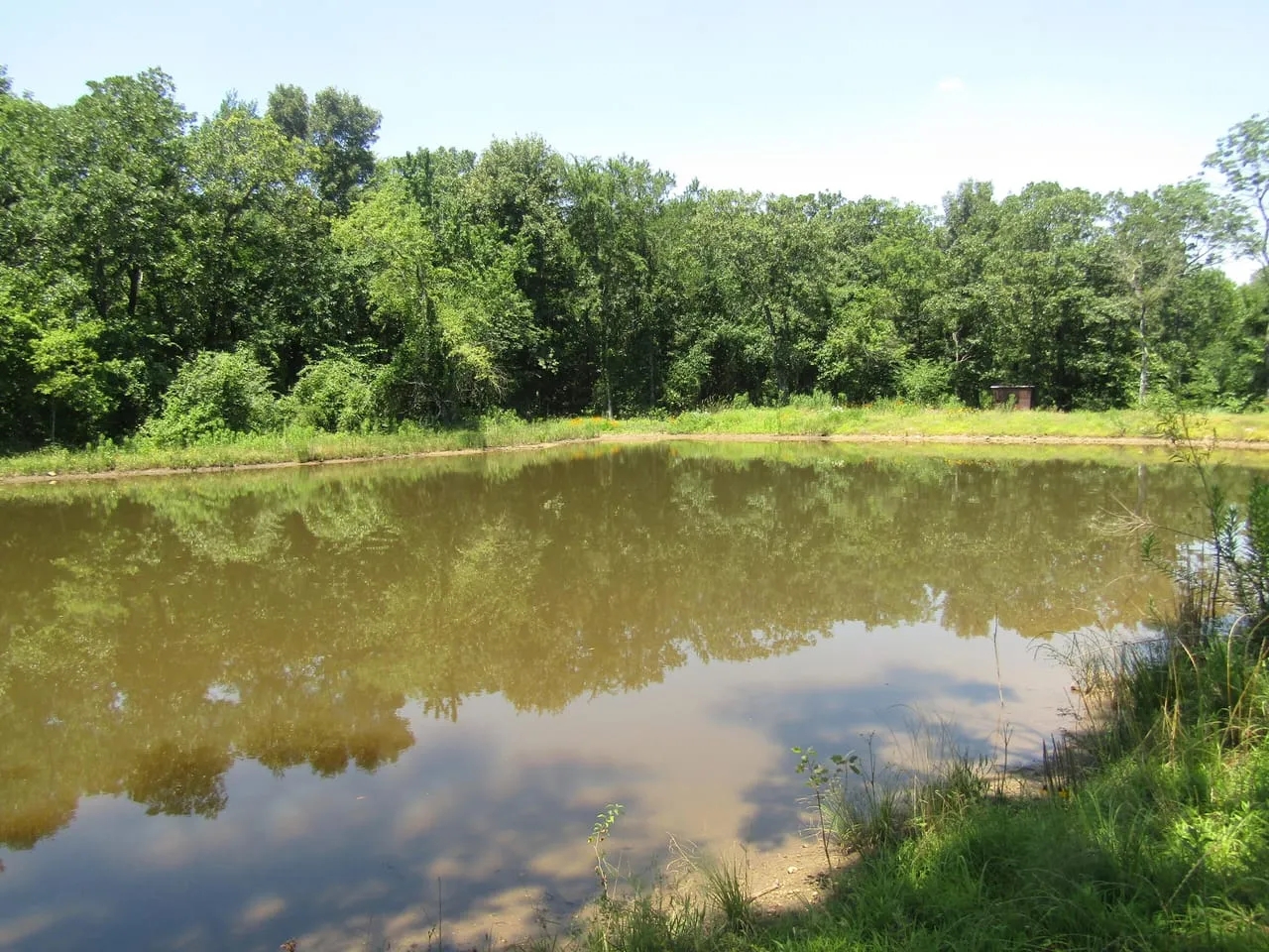 Golden Dove Road Recreational Hunting Escape McCurtain County OK 40 AC