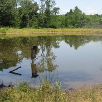 Golden Dove Road Recreational Hunting Escape McCurtain County OK 40 AC images 5