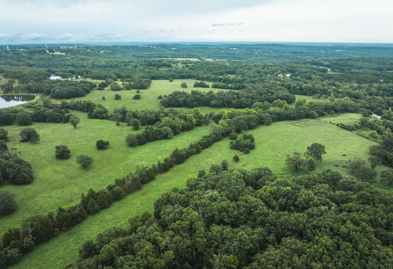 15615 Carthage Dixon MO Hunting Land for Sale