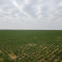 6332 Acre Fry Farm Oklahoma - Price Reduced images 2