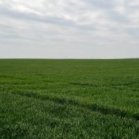 6332 Acre Fry Farm Oklahoma - Price Reduced images 5