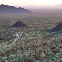 60,100 acres Deer huntin land South Maricopa Mountains WMA in Maricopa, AZ