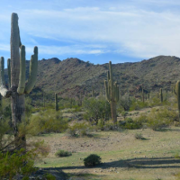 60,100 acres Deer huntin land South Maricopa Mountains WMA in Maricopa, AZ images 3