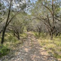 1790 County Road 402 Marble Falls TX 78654 images 3