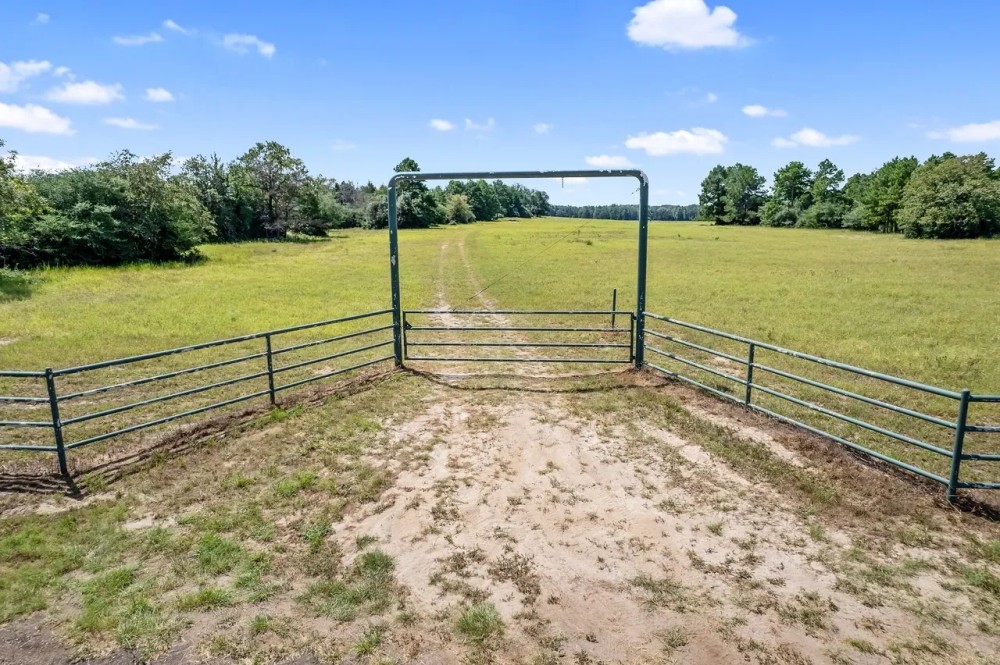 Cattle and Hunting Ranch featured image