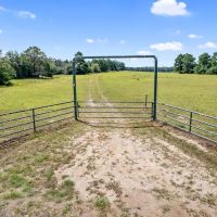 Cattle and Hunting Ranch
