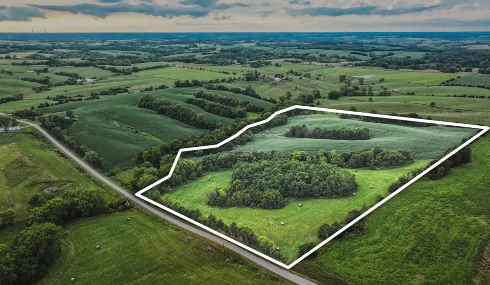Newland 25 featured image