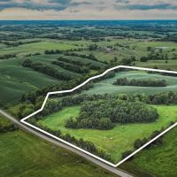 Newland 25
