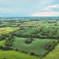 Newland 25 images 3