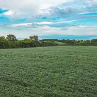 Newland 25 images 4