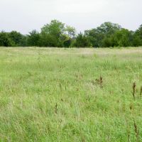20 Acre Pasture or Homesite
