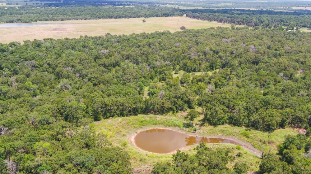 10 Acres in Milam County - Tract 13 featured image