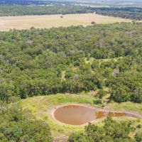 10 Acres in Milam County - Tract 13