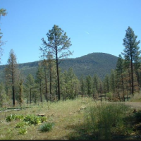 Mount Trumbull WMA 7,880 acres Deer hunting land in Santa Cruz, AZ