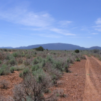 Mount Trumbull WMA 7,880 acres Deer hunting land in Santa Cruz, AZ images 3