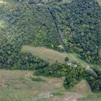 Secluded 74 Acre Calhoun County Hunting Farm. images 5
