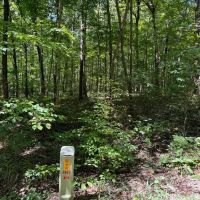 LAND FOR SALE - 9.2 ACRES BUILDING LOT- WOODED - ENGLISH INDIANA - ORANGE COUNTY images 3