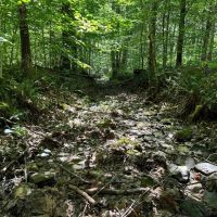 LAND FOR SALE - 9.2 ACRES BUILDING LOT- WOODED - ENGLISH INDIANA - ORANGE COUNTY images 4