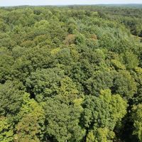 LAND FOR SALE - 9.2 ACRES BUILDING LOT- WOODED - ENGLISH INDIANA - ORANGE COUNTY images 5