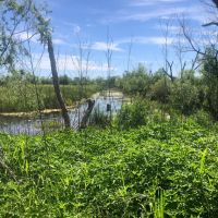 Willow Lakes images 2