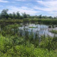 Willow Lakes images 3