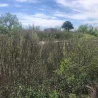 Willow Lakes images 4