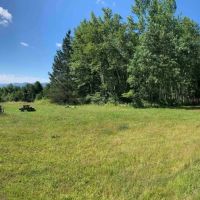 31 acres Recreational Land and Building Sites with Catskill Mountain Views in Rensselaerville NY images 2