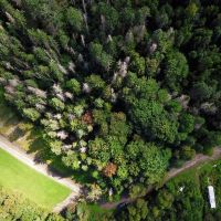 1736 Urban Farm Way - Cabot images 5