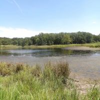 547 ACRES PRIME RECREATON SMALL CATTLE PRODUCTION PROPERTY images 2