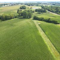 50.57 Acre Tillable Hunting Combo Farm Christian County Illinois images 2