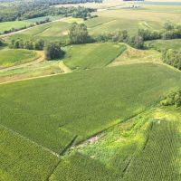 50.57 Acre Tillable Hunting Combo Farm Christian County Illinois images 3