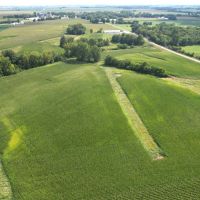 50.57 Acre Tillable Hunting Combo Farm Christian County Illinois images 4