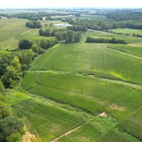 50.57 Acre Tillable Hunting Combo Farm Christian County Illinois images 5