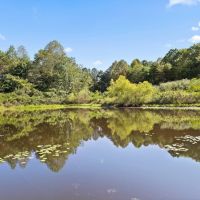 POND ON 23 - UNRESTRICTED ACRES