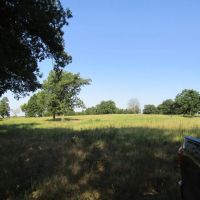 ROLLING HILL RANCHES DEVELOPMENT PHASE 2 Choctaw County OK LOT 4 30 AC images 3
