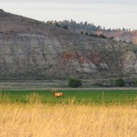 Lazy XY Ranch images 4