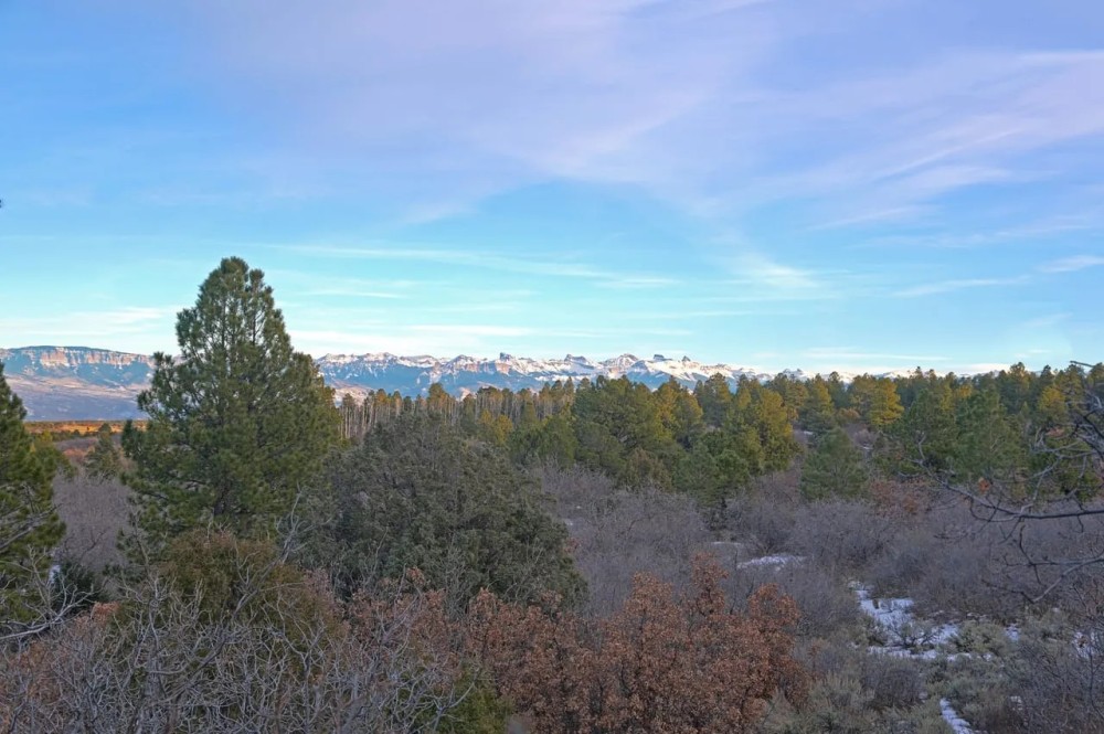 Ponderosa Lot 2 featured image