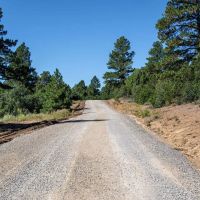 Ponderosa Lot 2 images 3
